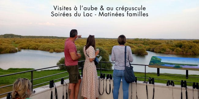 Eté 2025 à la maison du lac de Grandlieu Eté 2025 à la maison du lac de Grandlieu