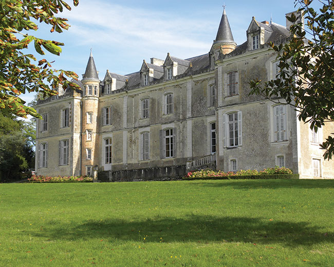 Château du Coing, Vignoble de Nantes