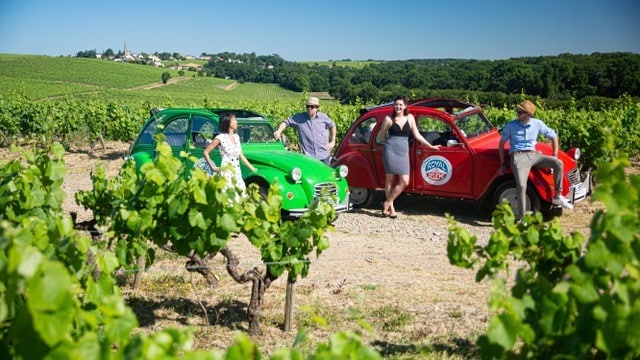 1750d9d96ca-2CV vignoble 2 Visite vignoble 2cv