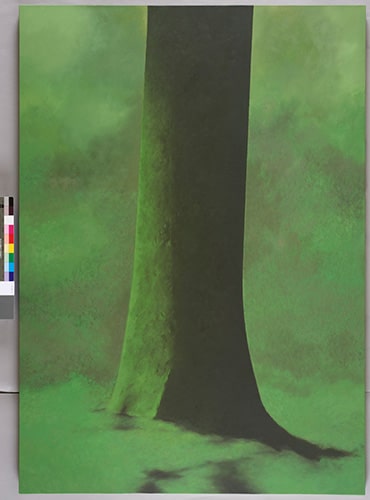 L'arbre 2018/10/10, exposition Jacques Le Brusq
