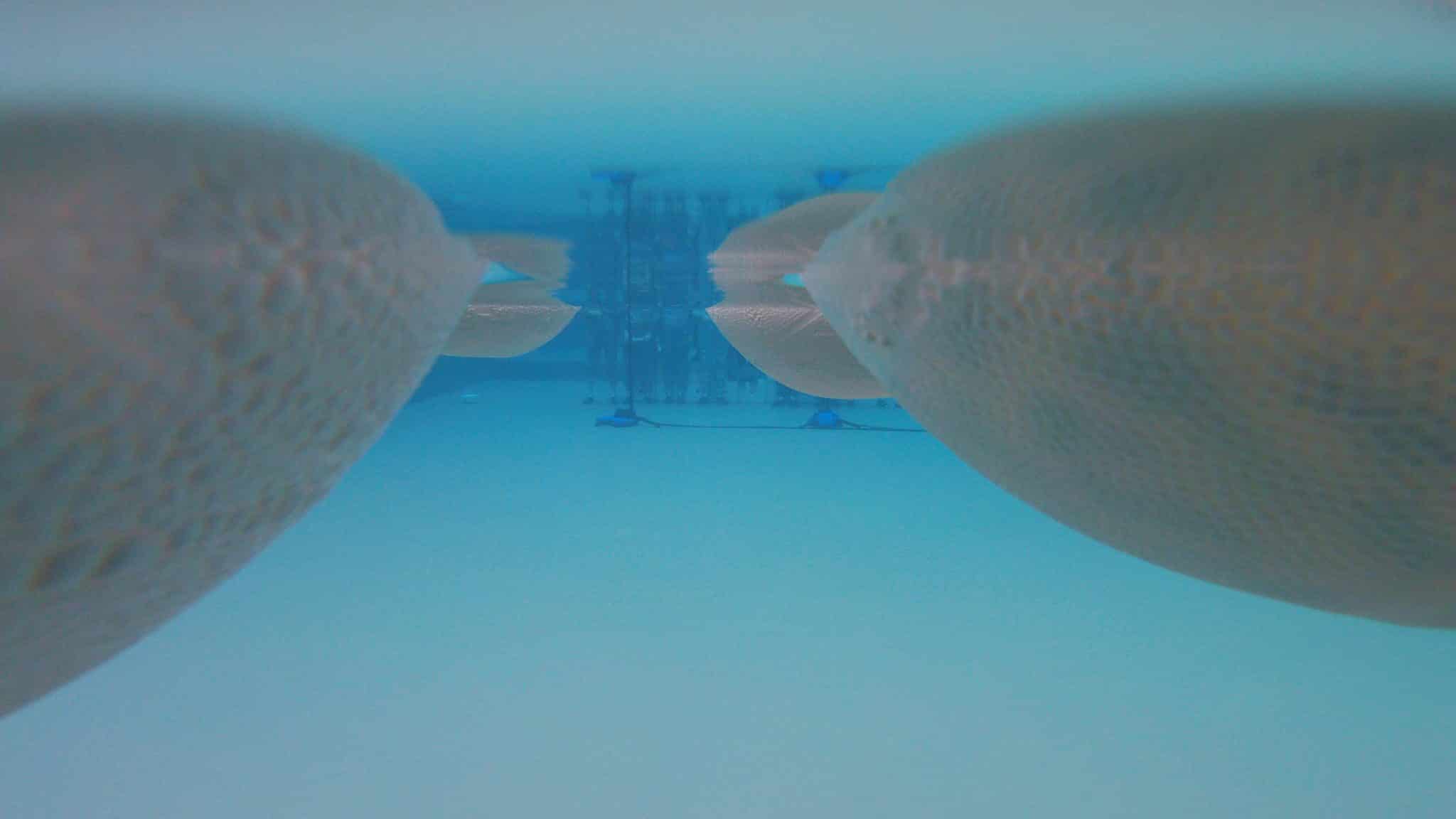 Lina Lapelytė, What happens with a dead fish, 2021