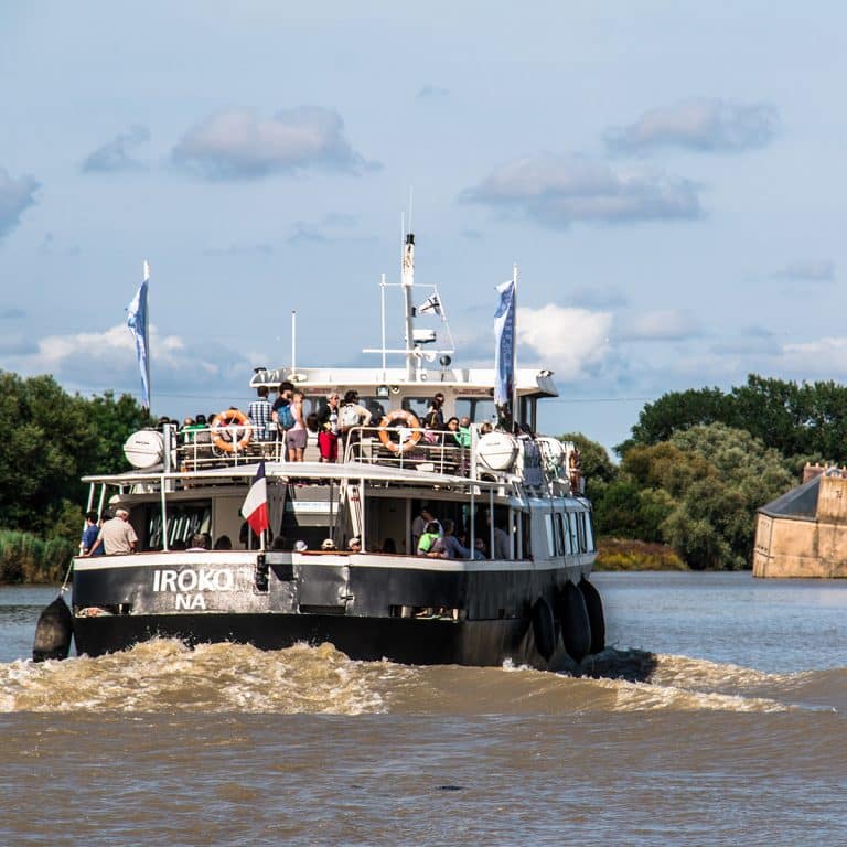 Croisière Estuaire NantesSaint-Nazaire (La Maison dans la Loire - Jean-Luc Courcoult, Couëron)